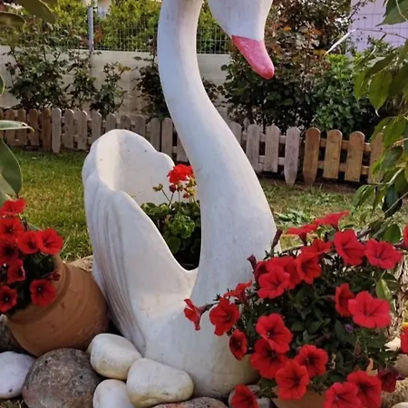 Дом отдыха Olga's Garden - Douneika *